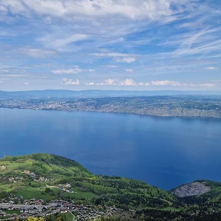 Appartement Tout Confort Montagne Et Lac Leman Thollon-les-Memises エクステリア 写真