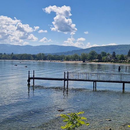 Appartement Tout Confort Montagne Et Lac Leman Thollon-les-Memises エクステリア 写真