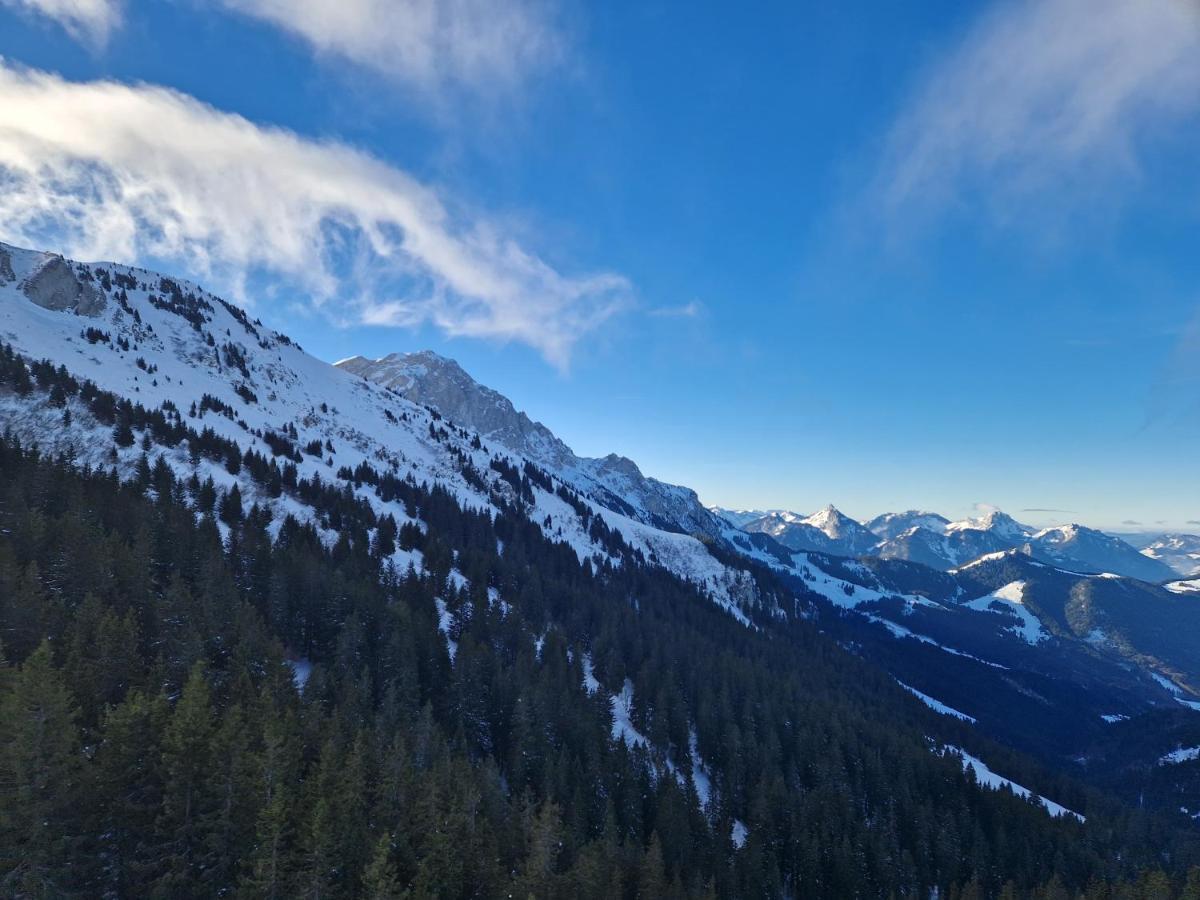 Appartement Tout Confort Montagne Et Lac Leman Thollon-les-Memises エクステリア 写真