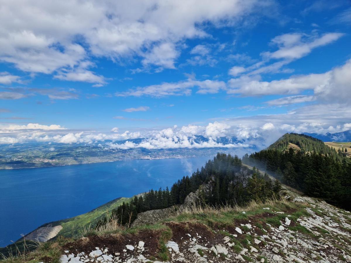 Appartement Tout Confort Montagne Et Lac Leman Thollon-les-Memises エクステリア 写真