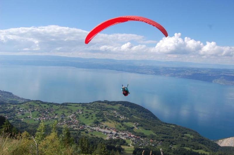 Appartement Tout Confort Montagne Et Lac Leman Thollon-les-Memises エクステリア 写真